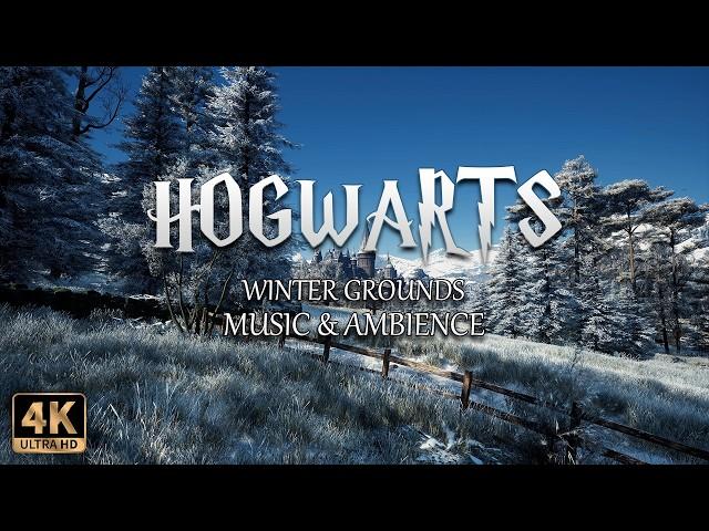 Winter Grounds at Hogwarts | 4K Harry Potter Music & Ambience