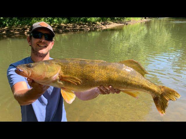 Kayak Fishing - And Catching HUGE FISH! (Small River)