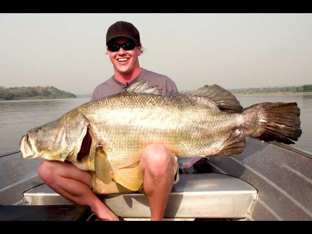 100+ Pound Gigantic Nile Perch!!!