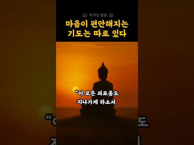 마음이 편안해지는 기도는 따로 있습니다 | 부처님 말씀 | 자비의기도  | 명상기도 | 마음이편안해지는기도