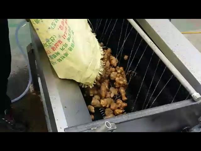신농 세척기 테스트