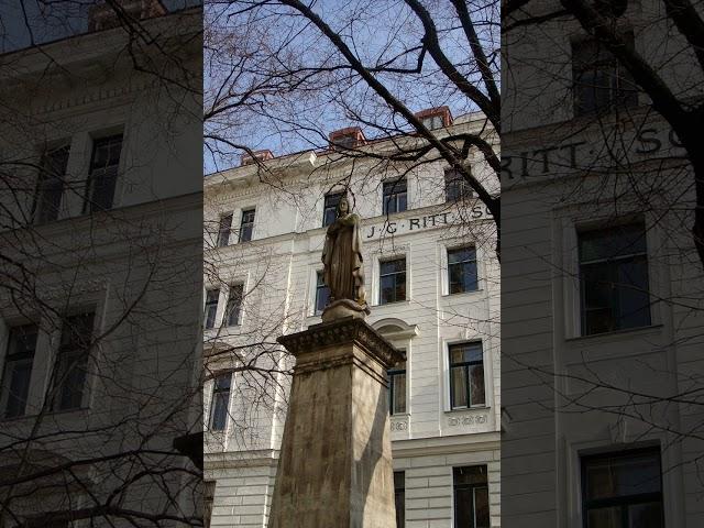 Virgin Mary Statue ️ in Vienna Austria#youtube #vlogs #beauty #music #shorts #jesus #mary #vlog