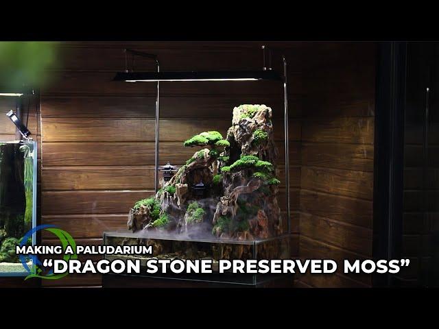 Membuat paludarium simple dengan "Dragon stone & Bonsai moss preserved" - Wajib kalian coba