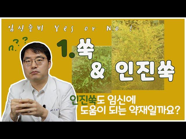 임신준비 Yes 혹은 No! 제1편 쑥과 인진쑥