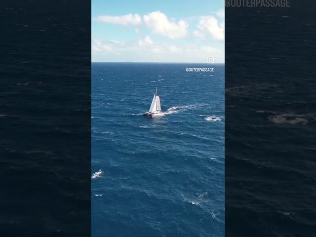 Our spaceshipin her element  #sail #drone #adventuretravel #sailboat #ocean