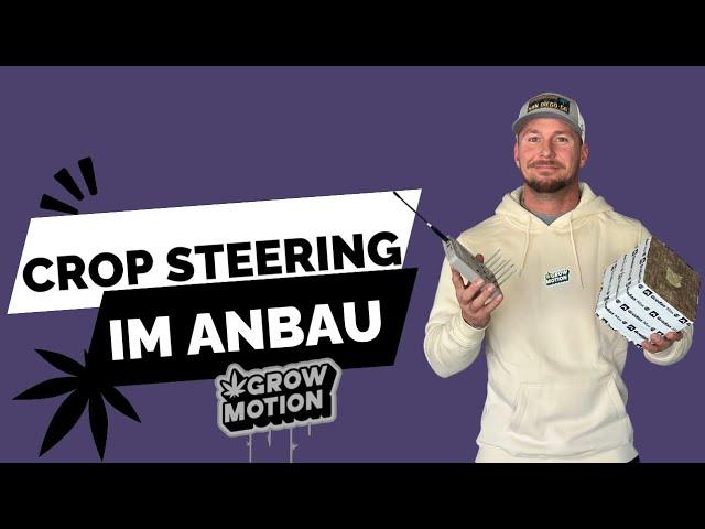 Crop Steering - Cannabis Wachstum steigern | professioneller Anbau | Homegrow Tipps