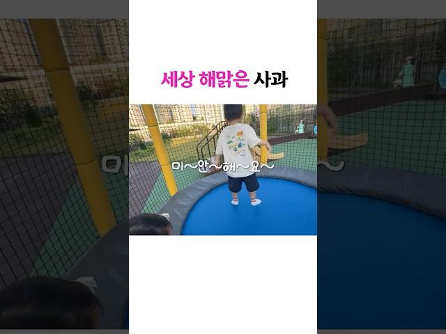 세상 해맑은 사과