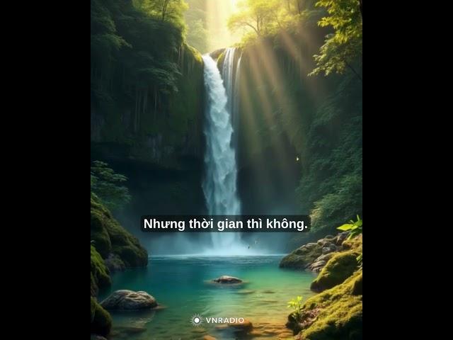 3 sự thật về cuộc sống mà bạn PHẢI chấp nhận. Hầu hết chúng ta lại quên đi... ĐIỀU CUỐI CÙNG