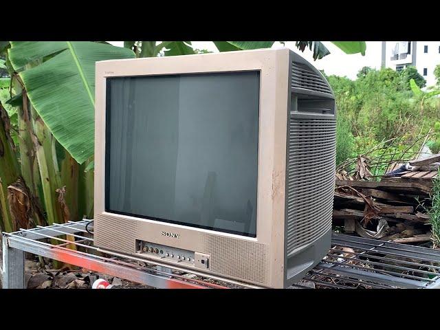 Restoration SONY Trinitron "KV - TG21M80/N" TV That Was Severely Damaged Beyond Repair