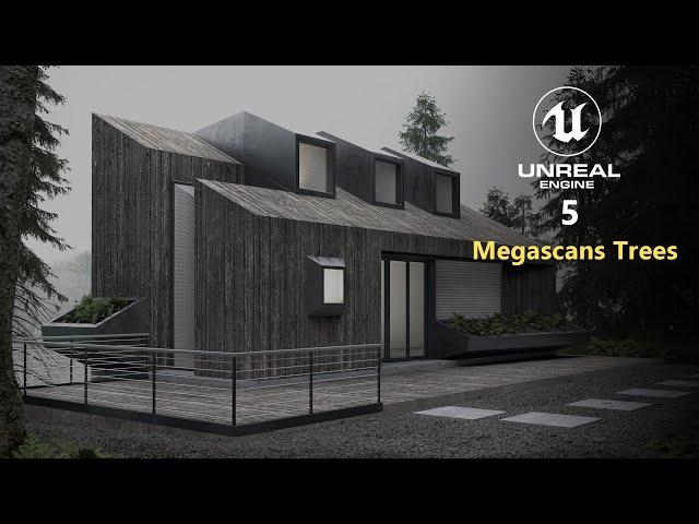 Megascans Trees | Unreal Engine 5