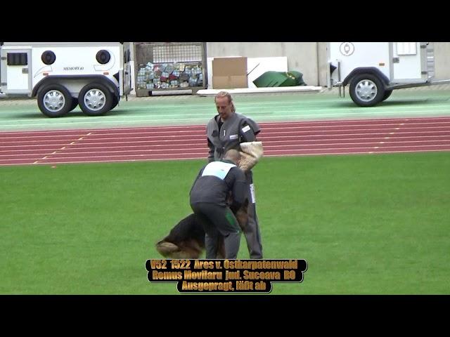2019 SV BSZS in Nurnberg TSB LSTH V52 Ares v  Ostkarpatenwald