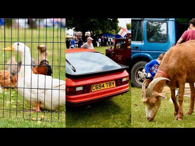 Cars & Animals are a weird combination | Malayalam Vlog