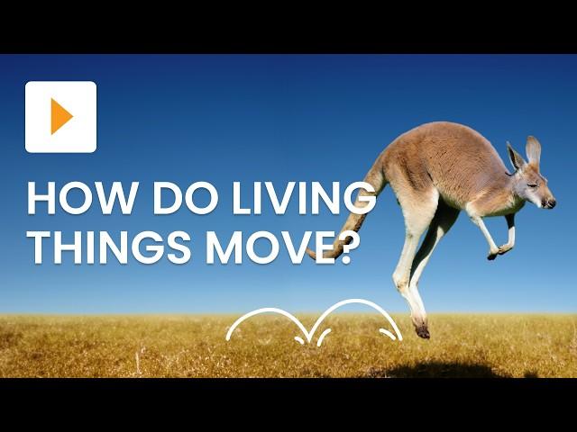 How Animals and Mini Beasts Move | Science | ClickView