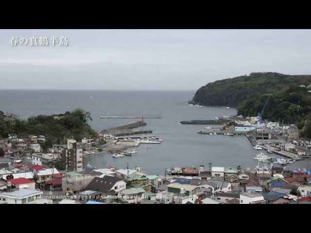 春の真鶴半島【4K】 海、港、釣り船、オオアオサギ、三ツ石 japan,Sea, harbor, fishing boats, manazuru