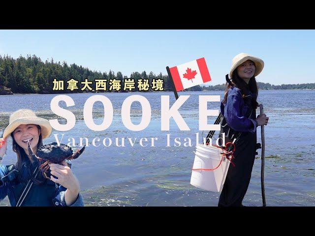 溫哥華島夏天必去的景點! Sooke 秘境抓螃蟹、現煮螃蟹超好吃、超好吃的早午餐店 | @leyo3010 樂遊人