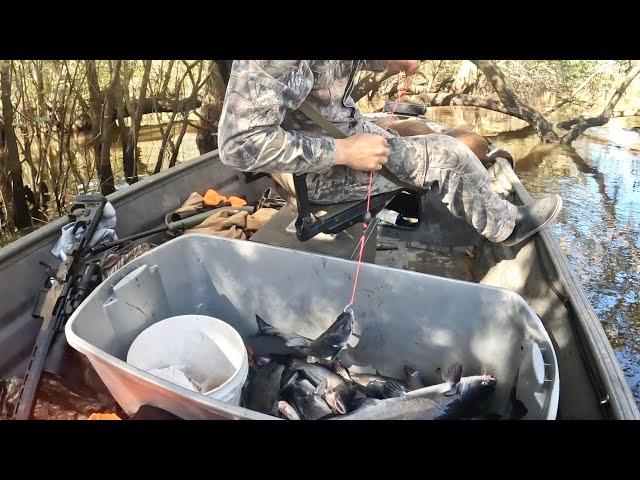 3 Days Hunting and Fishing in the Swamp (Cast Blast Catch & Cook)