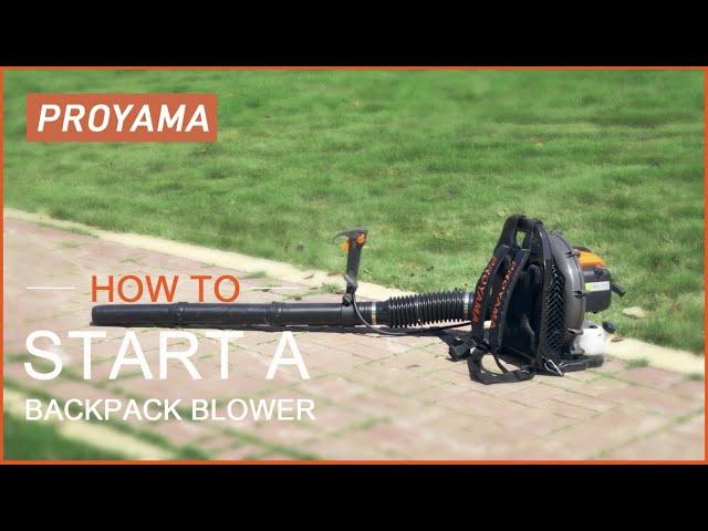 Proyama Backpack Leaf Blower 54cc Starting Instruction from Amazon