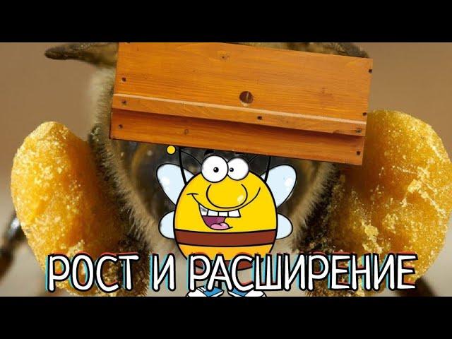 ПРАВИЛЬНОЕ РАСШИРЕНИЕ СЕМЕЙ