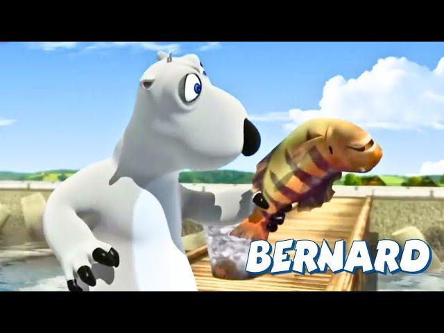 ‍️ Bernard’s Big Catch!  Will He Eat the Fish?! | Full Episodes | VIDEOS and CARTOONS FOR KIDS