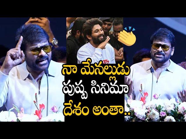 Megastar Chiranjeevi GOOSEBUMPS Words about #Pushpa2 Movie Success | Allu Arjun | Nakshatra News