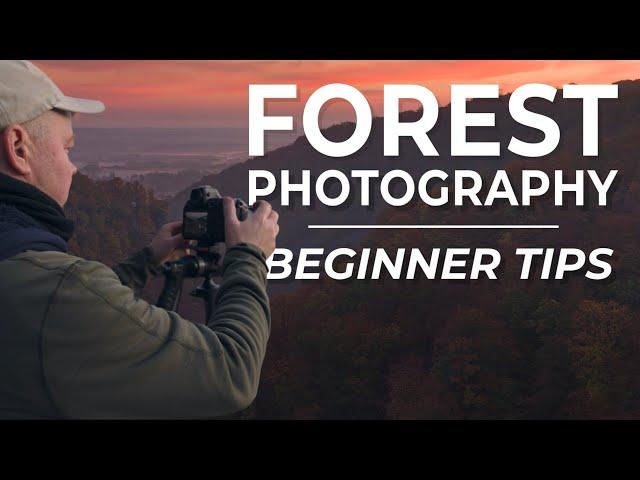 Forest Photography Tips I Wish I Knew When I Started