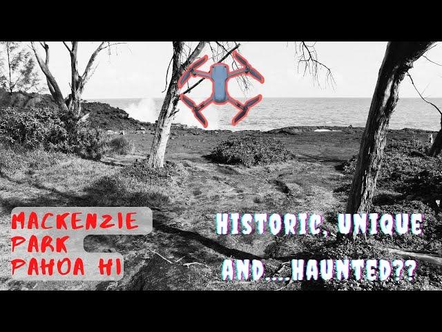 Historic, Unique, and Haunted??:  Mackenzie State Park, Pahoa Hawaii