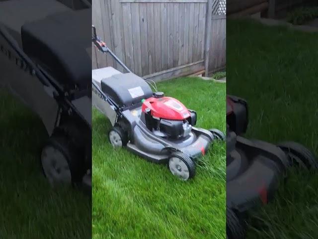 BEST PUSH MOWER EVER BUILT imo #honda #mowing #green #grass #cool #strong #best #mower #power