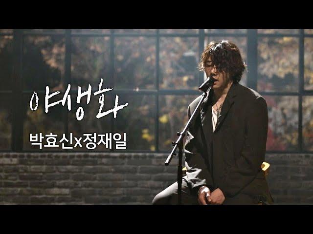 [풀버전] 박효신(Park hyo shin)x정재일(Jung jae il)， 한층 깊어진 감성 ′야생화′ 너의 노래는(Your Song) 1회