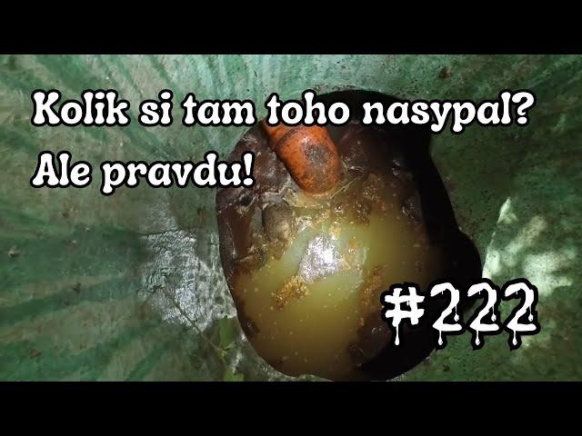 Kolik si tam toho nasypal? Ale řekni pravdu | Hustá paní domácí  | ČISTIČ ODPADU #222