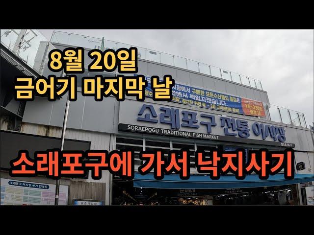 금어기 마지막 날에 소래포구로 산낙지 사러가기.