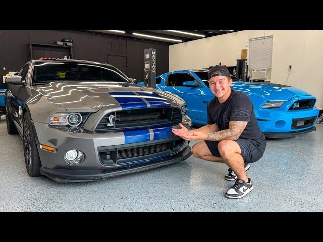 Taking Delivery of a SUPER RARE Shelby GT500!!