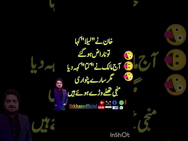 Dog Rules #usa #shorts #pti #poetry