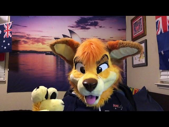 Dingo update: Furs For Life & DogBomb’s ALS fight