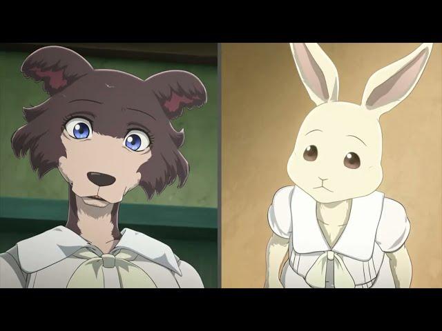 #Beastars Juno Meets Haru