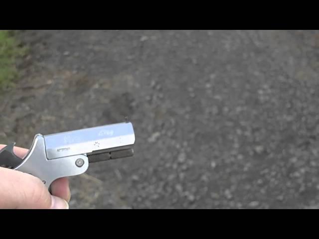 Derringer REX by Dressler .22 Flobert Shoot2.AVI