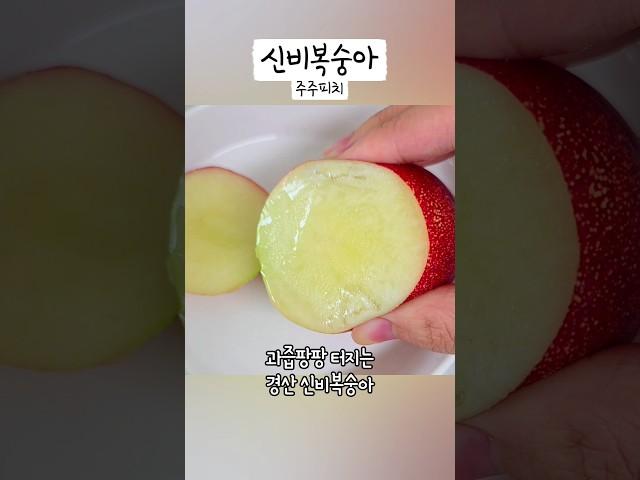 과즙팡팡 터지는 경산 신비복숭아는 주주피치에서