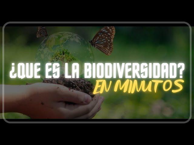 ¿QUE ES LA BIODIVERSIDAD? en minutos