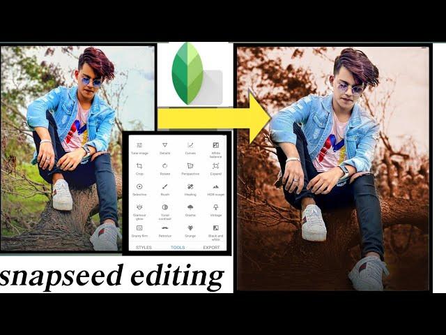 Finally! presets|| How to use presets in Snapseed app? || Abi Editz