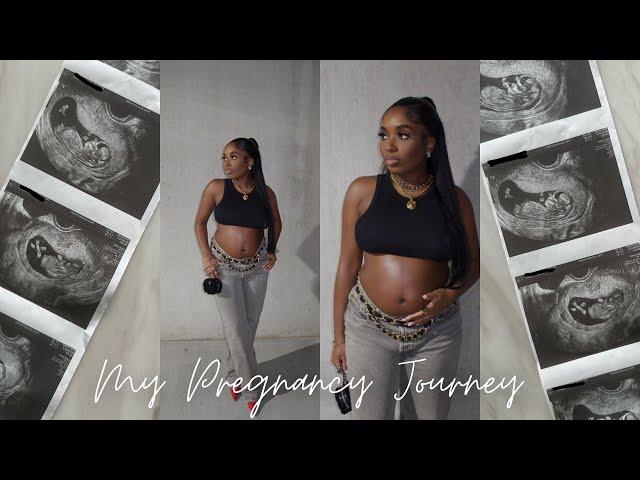 Welcome To My Pregnancy Journey