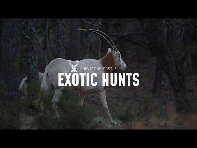 Greystone Castle - Exotic Hunts