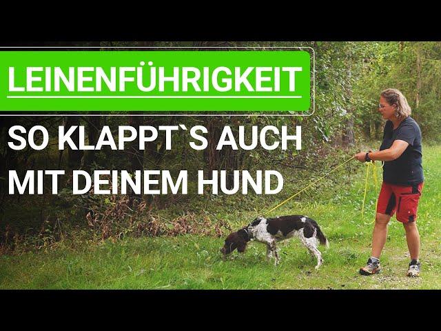  Leinenführigkeit trainieren ️ So klappt`s auch mit deinem Hund ️ Praxisvideo ️