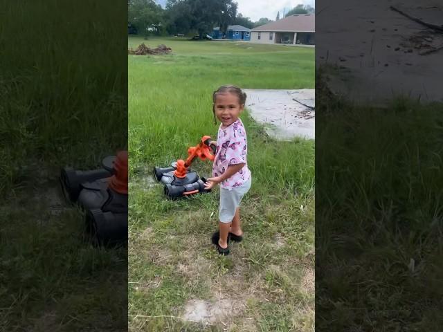 Savvy Gets Caught Cutting The Grass 