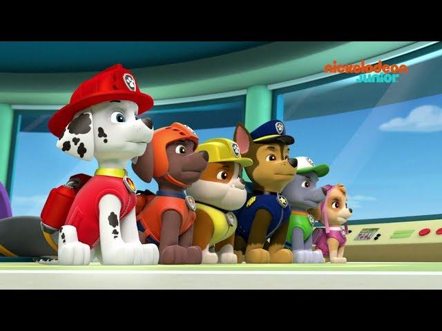 Paw Patrol : la Pat'Patrouille | Compilation canine | NICKELODEON JUNIOR