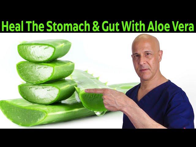 Heal the Stomach & Gut With ALOE VERA | Dr. Mandell