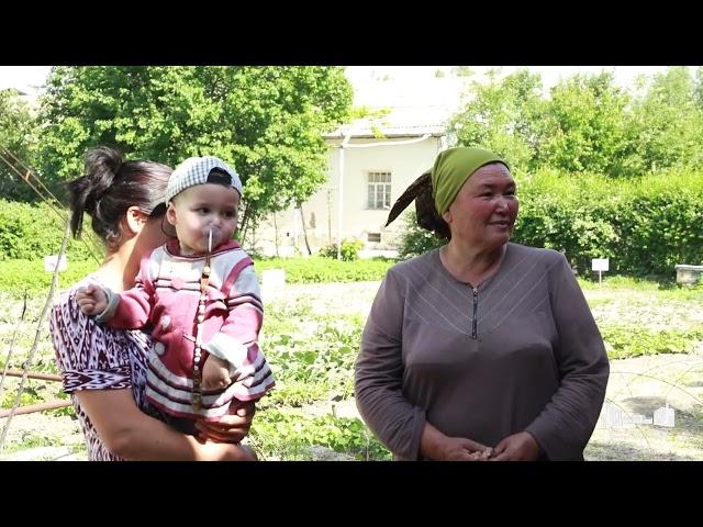 Земля кормит людей, как мать детей