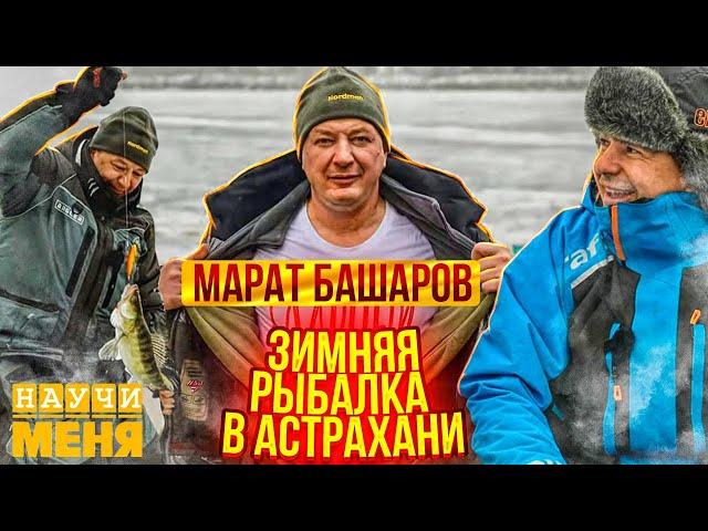 Почему же РЫБАЛКА так ПОПУЛЯРНА? / МАРАТ БАШАРОВ и ХИТРЫЙ Астраханский СУДАК / НАУЧИ МЕНЯ