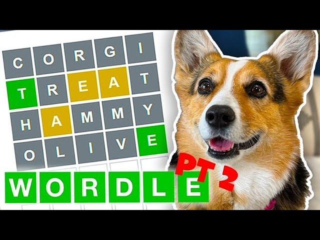 Are You SMARTER Than a Dog at WORDLE?