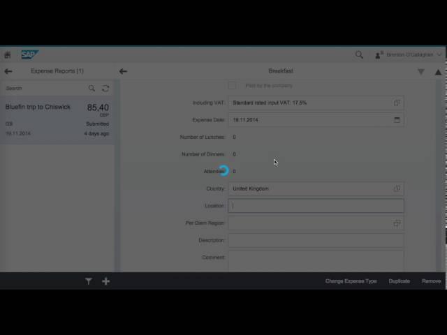 SAP Fiori: My Travel & Expenses Overview