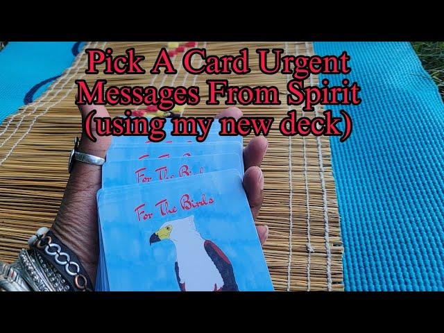 Pick A Card Urgent Messages From Spirit | Using New Oracle Deck in Nature