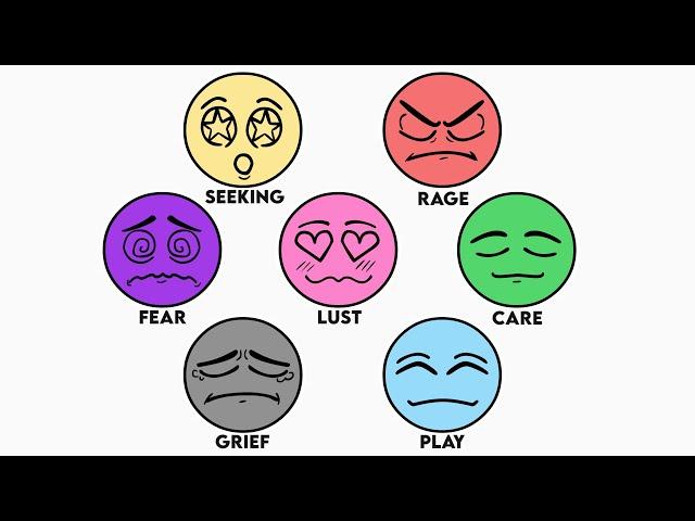 Why Do You Feel?